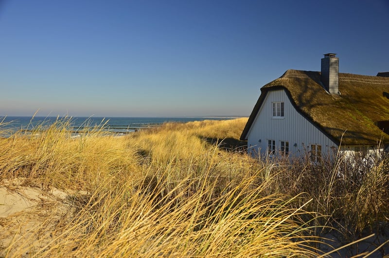 Dune Bashing Image